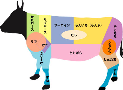上州牛枝肉各部の分割部位